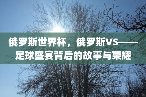 俄罗斯世界杯，俄罗斯VS——足球盛宴背后的故事与荣耀