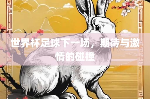 世界杯足球下一场，期待与激情的碰撞