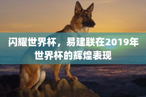 闪耀世界杯，易建联在2019年世界杯的辉煌表现