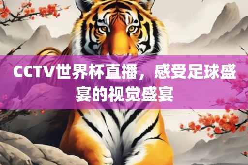 CCTV世界杯直播，感受足球盛宴的视觉盛宴