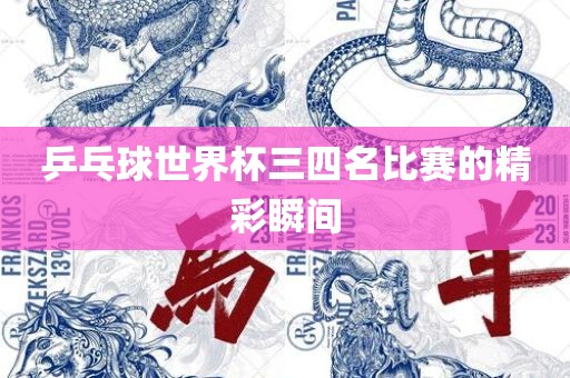 乒乓球世界杯三四名比赛的精彩瞬间