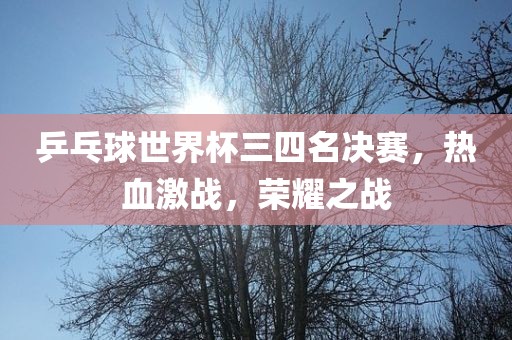乒乓球世界杯三四名决赛，热血激战，荣耀之战