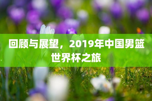 回顾与展望，2019年中国男篮世界杯之旅