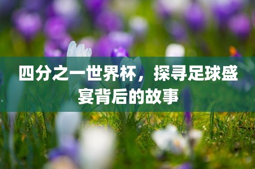 四分之一世界杯，探寻足球盛宴背后的故事