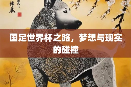 国足世界杯之路，梦想与现实的碰撞