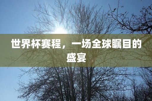 世界杯赛程，一场全球瞩目的盛宴