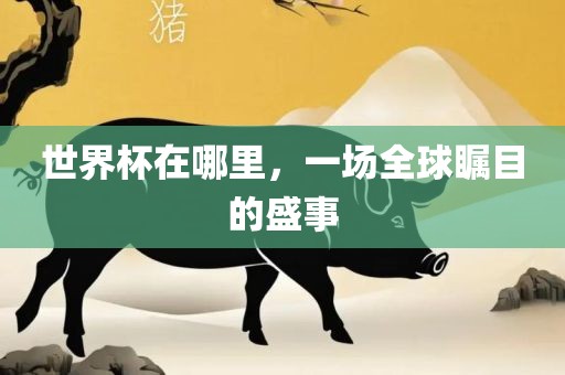 世界杯在哪里，一场全球瞩目的盛事