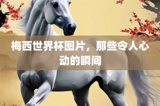 梅西世界杯图片，那些令人心动的瞬间