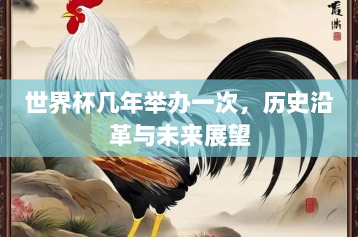 世界杯几年举办一次，历史沿革与未来展望