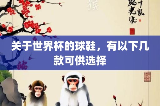 关于世界杯的球鞋，有以下几款可供选择