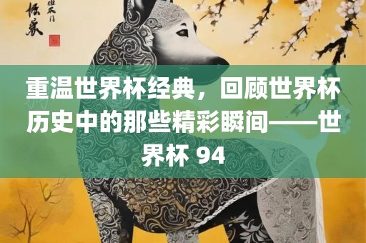 重温世界杯经典，回顾世界杯历史中的那些精彩瞬间——世界杯 94
