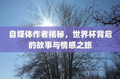 自媒体作者揭秘，世界杯背后的故事与情感之旅