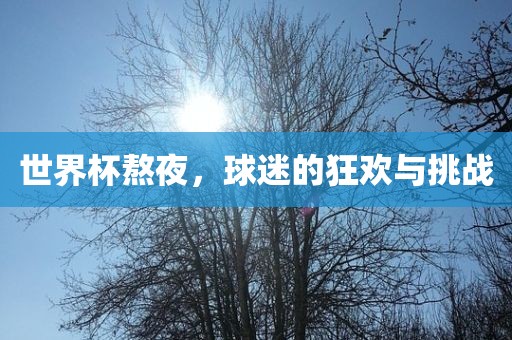 世界杯熬夜，球迷的狂欢与挑战