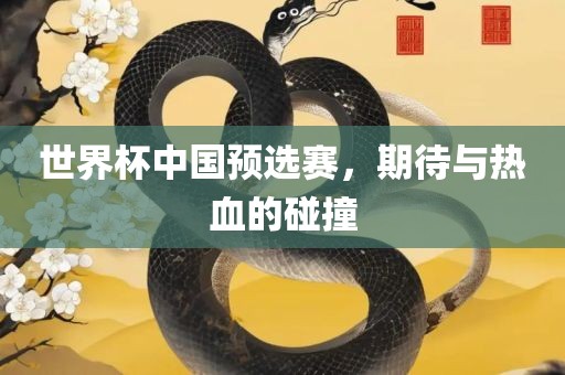 世界杯中国预选赛，期待与热血的碰撞