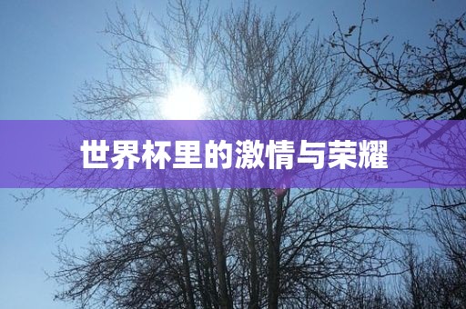 世界杯里的激情与荣耀