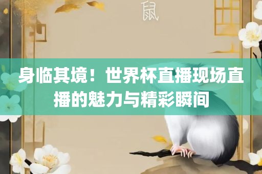 身临其境！世界杯直播现场直播的魅力与精彩瞬间