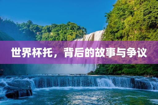 世界杯托，背后的故事与争议
