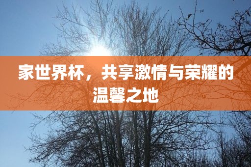 家世界杯，共享激情与荣耀的温馨之地