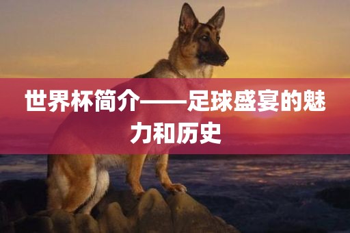 世界杯简介——足球盛宴的魅力和历史