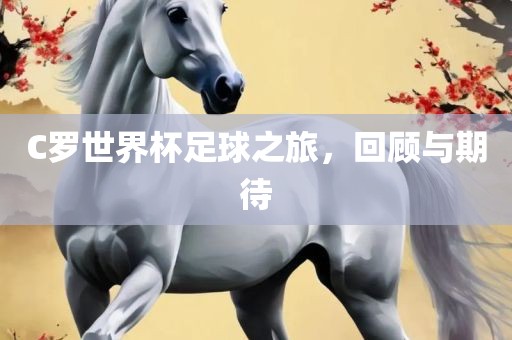 C罗世界杯足球之旅，回顾与期待