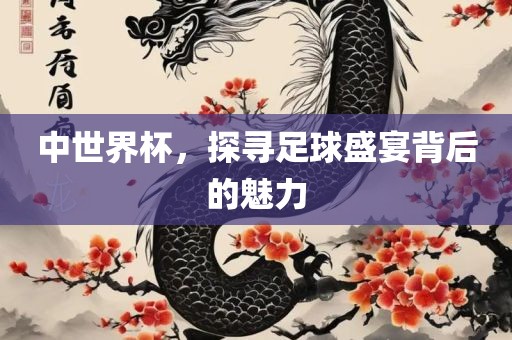 中世界杯，探寻足球盛宴背后的魅力