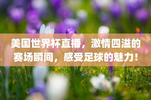 美国世界杯直播，激情四溢的赛场瞬间，感受足球的魅力！