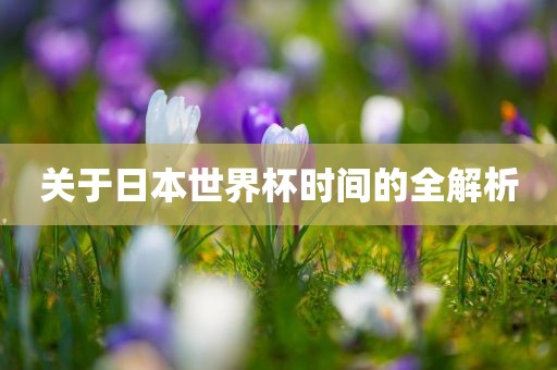 关于日本世界杯时间的全解析