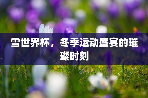 雪世界杯，冬季运动盛宴的璀璨时刻