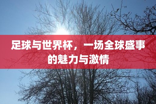 足球与世界杯，一场全球盛事的魅力与激情