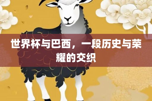 世界杯与巴西，一段历史与荣耀的交织