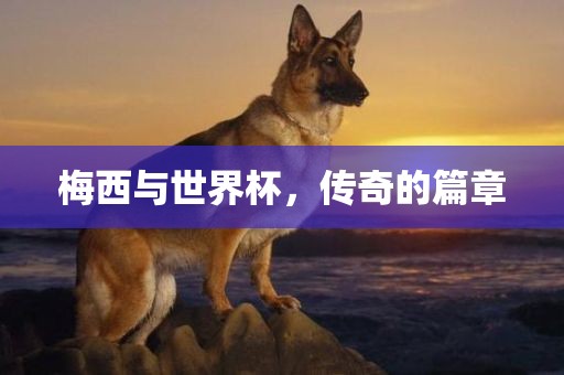 梅西与世界杯，传奇的篇章