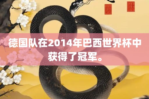 德国队在2014年巴西世界杯中获得了冠军。