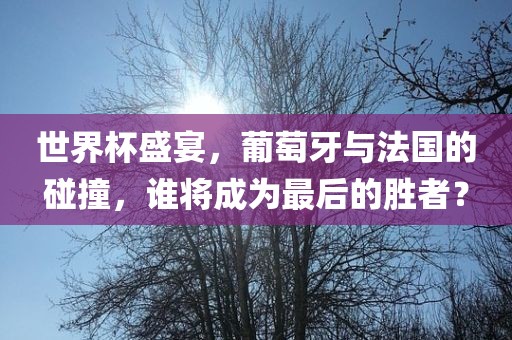 世界杯盛宴，葡萄牙与法国的碰撞，谁将成为最后的胜者？