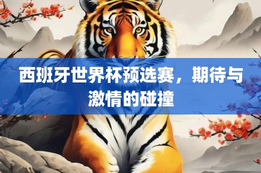 西班牙世界杯预选赛，期待与激情的碰撞