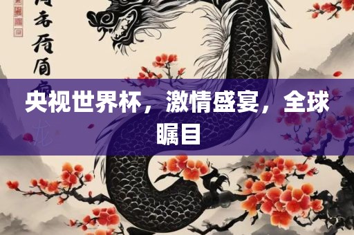 央视世界杯，激情盛宴，全球瞩目