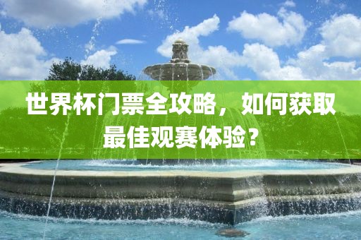 世界杯门票全攻略，如何获取最佳观赛体验？