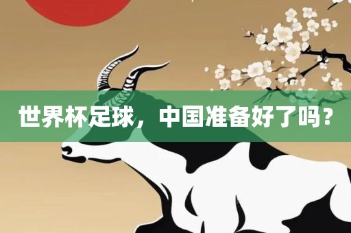 世界杯足球，中国准备好了吗？