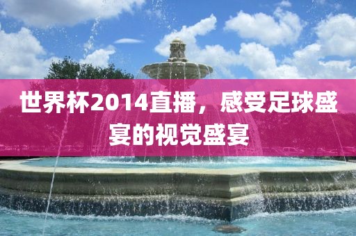 世界杯2014直播，感受足球盛宴的视觉盛宴