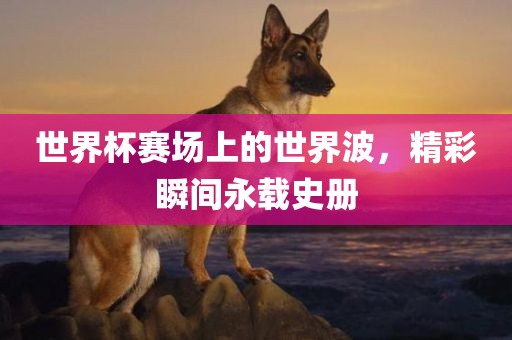 世界杯赛场上的世界波，精彩瞬间永载史册