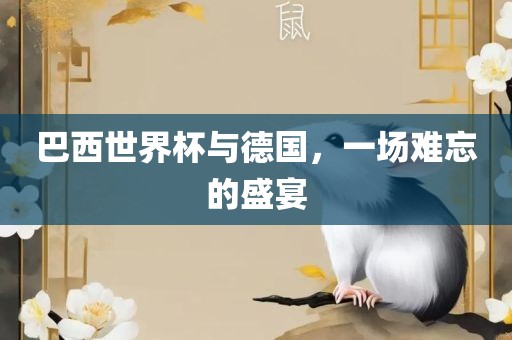 巴西世界杯与德国，一场难忘的盛宴
