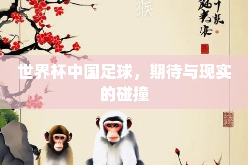 世界杯中国足球，期待与现实的碰撞