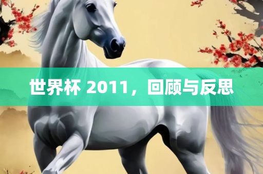 世界杯 2011，回顾与反思