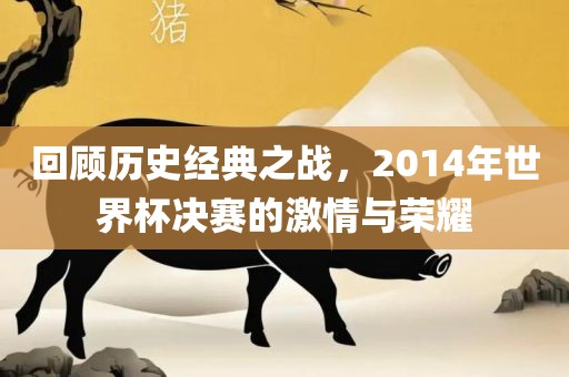 回顾历史经典之战，2014年世界杯决赛的激情与荣耀