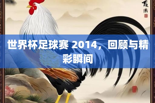 世界杯足球赛 2014，回顾与精彩瞬间