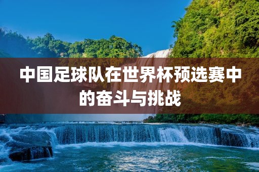 中国足球队在世界杯预选赛中的奋斗与挑战