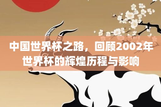 中国世界杯之路，回顾2002年世界杯的辉煌历程与影响