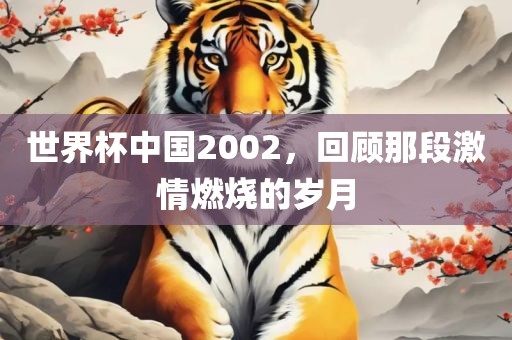 世界杯中国2002，回顾那段激情燃烧的岁月
