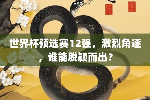 世界杯预选赛12强，激烈角逐，谁能脱颖而出？