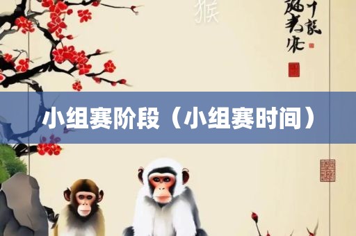 小组赛阶段（小组赛时间）