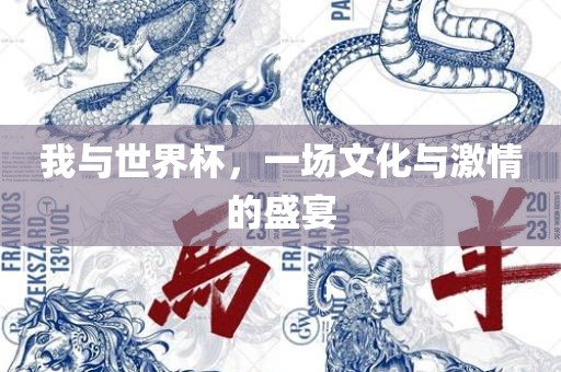 我与世界杯，一场文化与激情的盛宴